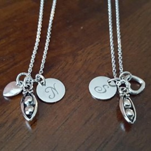 Two Peas in a Pod Stainless Steel Necklace, Set - Picture 1 of 7